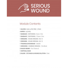 Serious Wound Module - Cardboard