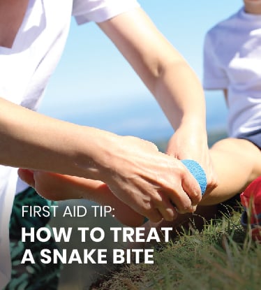 First Aid Tip: How to Treat a Snake Bite